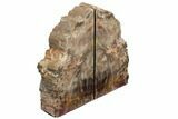 Tall, Arizona Petrified Wood Bookends #195171-1